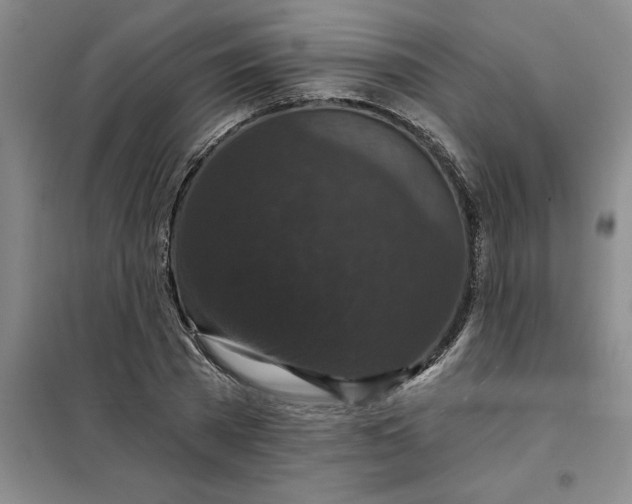 X0000098150785200805011406