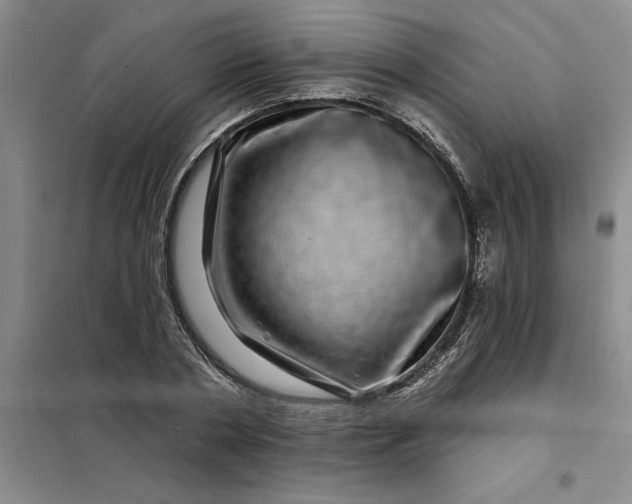 X0000098150786200805011406