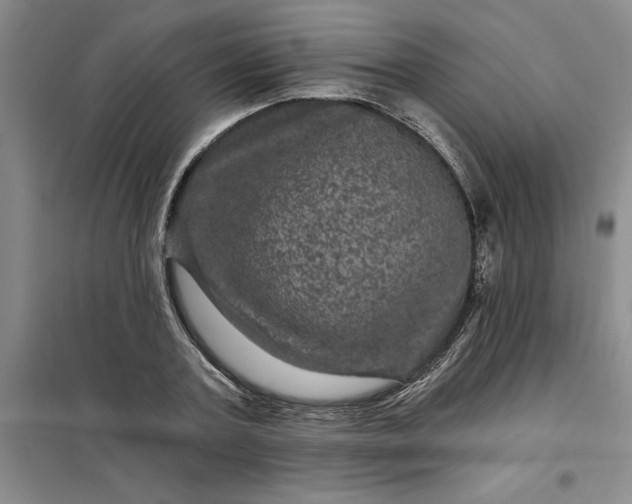 X0000098150787200805011406