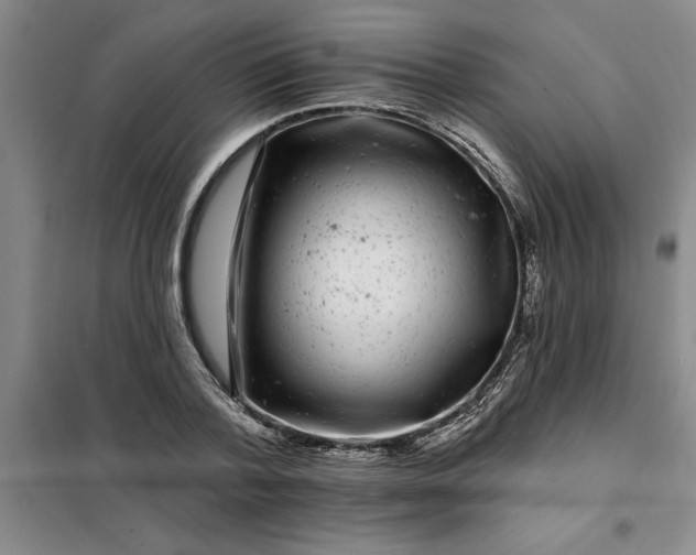 X0000098150788200805011406
