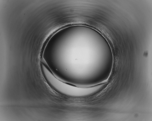 X0000098150789200805011406