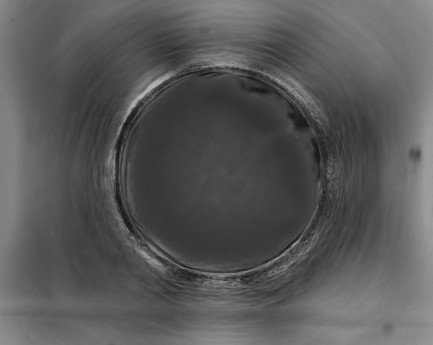 X0000098150790200805011406