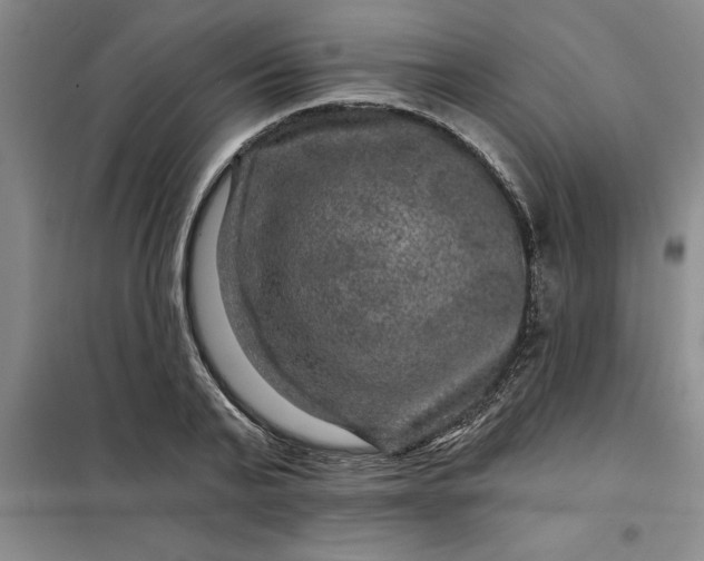 X0000098150791200805011406