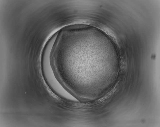 X0000098150792200805011406