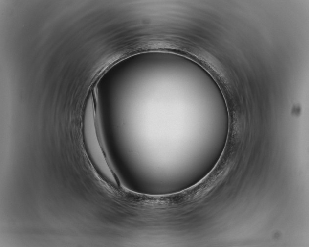 X0000098150793200805011406