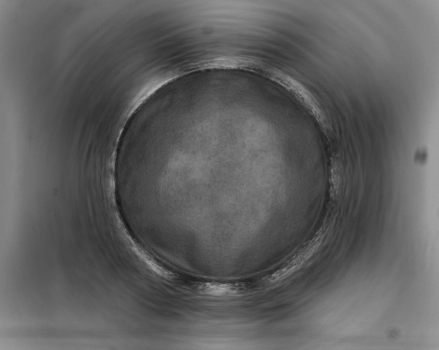 X0000098150794200805011406