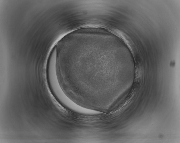 X0000098150795200805011406