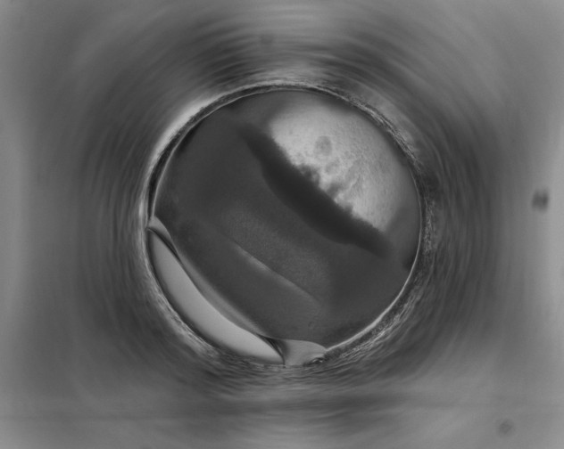 X0000098150796200805011406