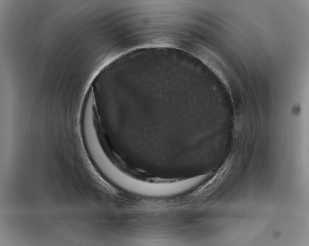 X0000098150797200805011406