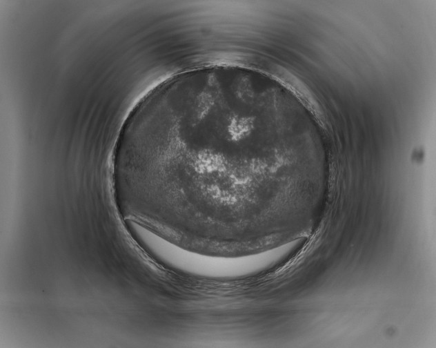 X0000098150798200805011406