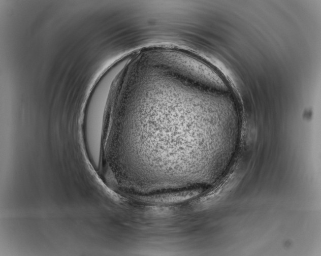 X0000098150799200805011406