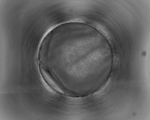 X0000098150800200805011406