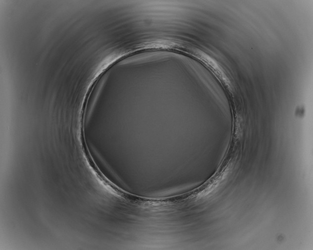 X0000098150802200805011406