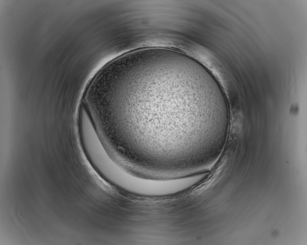 X0000098150803200805011406