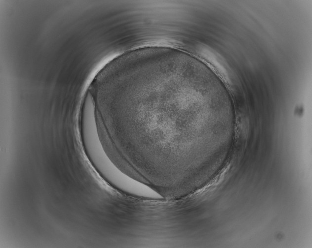 X0000098150804200805011406