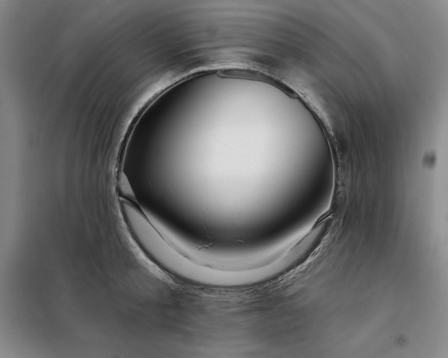 X0000098150805200805011406