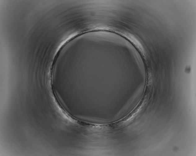 X0000098150806200805011406