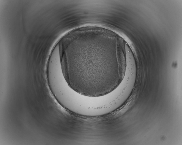 X0000098150807200805011406