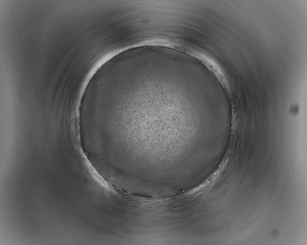 X0000098150808200805011406