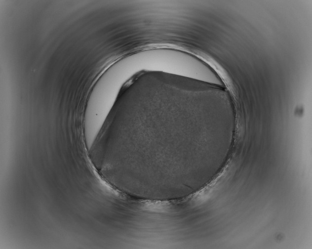 X0000098150809200805011406