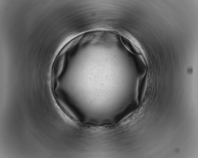 X0000098150811200805011406