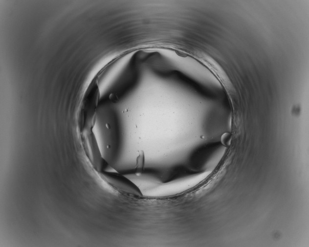 X0000098150812200805011406