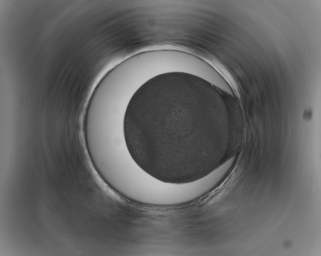 X0000098150813200805011406