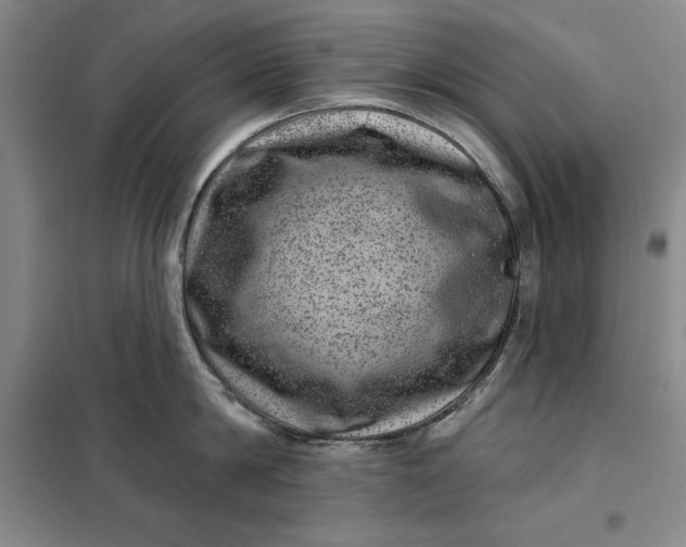 X0000098150814200805011406
