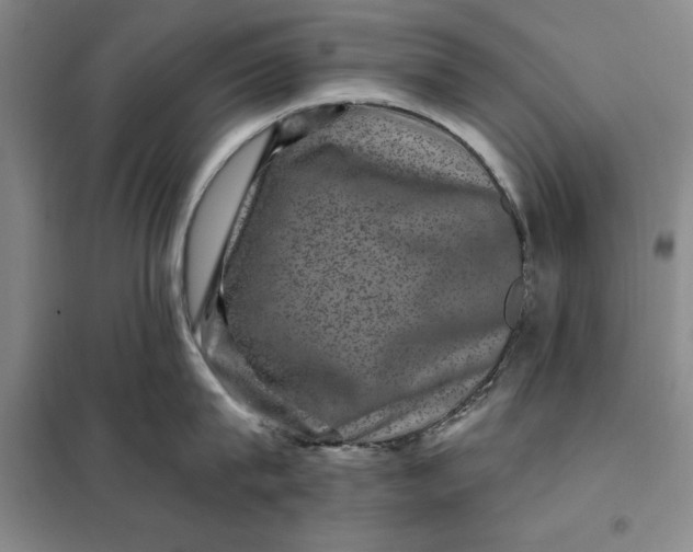 X0000098150815200805011406