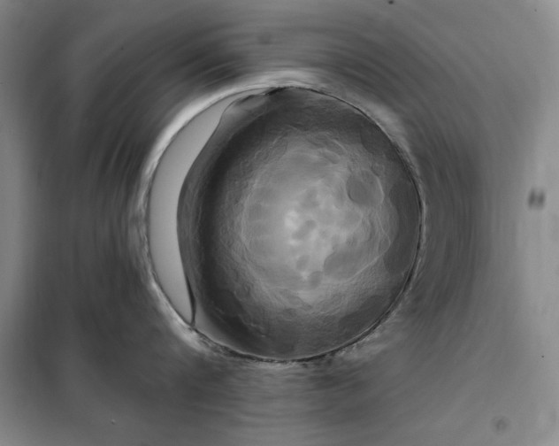 X0000098150816200805011406