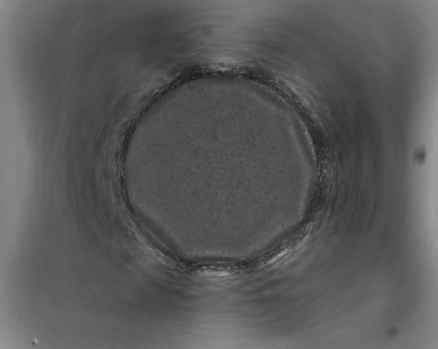 X0000098150817200805011405