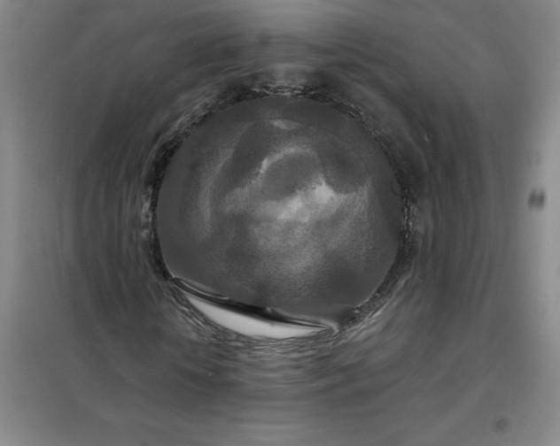 X0000098150818200805011405