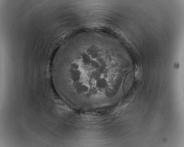 X0000098150819200805011405