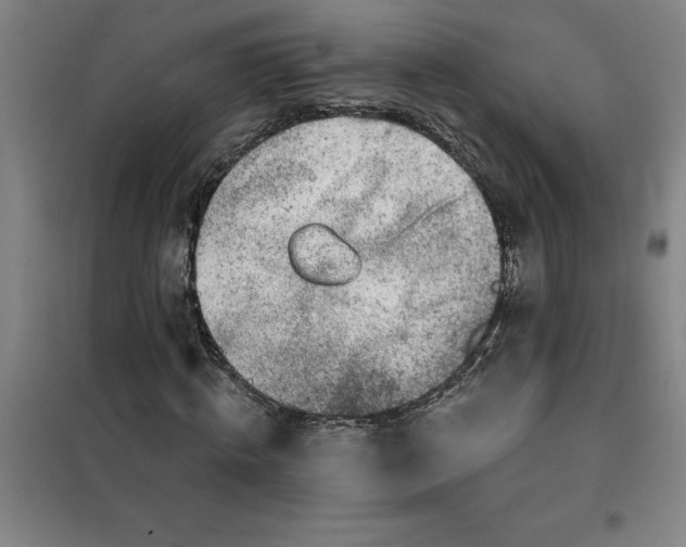 X0000098150820200805011405