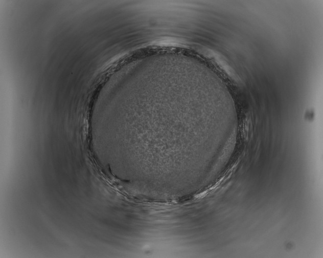 X0000098150821200805011405