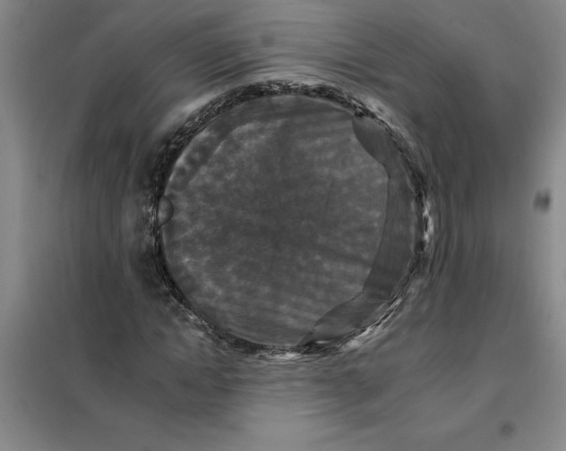X0000098150822200805011405