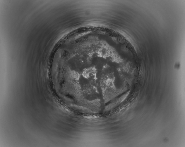 X0000098150823200805011405