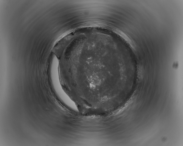 X0000098150826200805011405