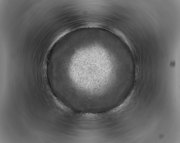 X0000098150827200805011405