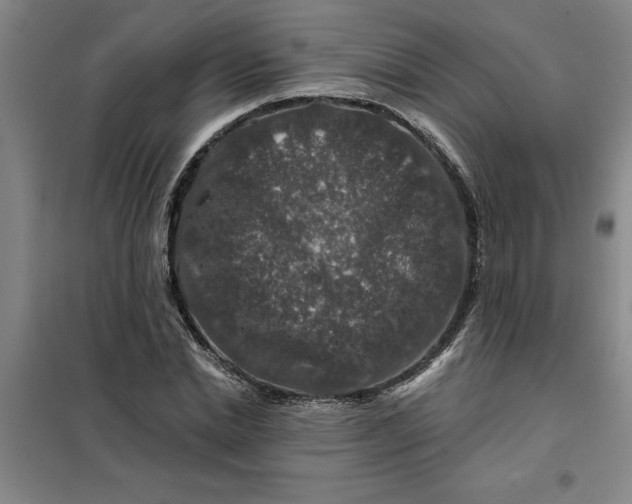 X0000098150830200805011405