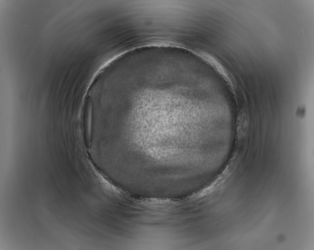 X0000098150831200805011405