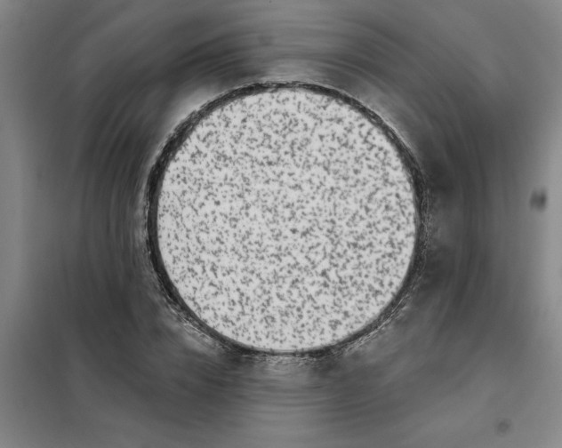 X0000098150832200805011405