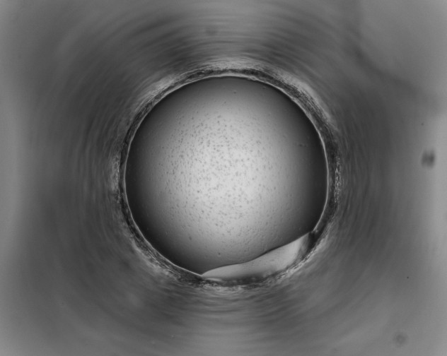 X0000098150833200805011405