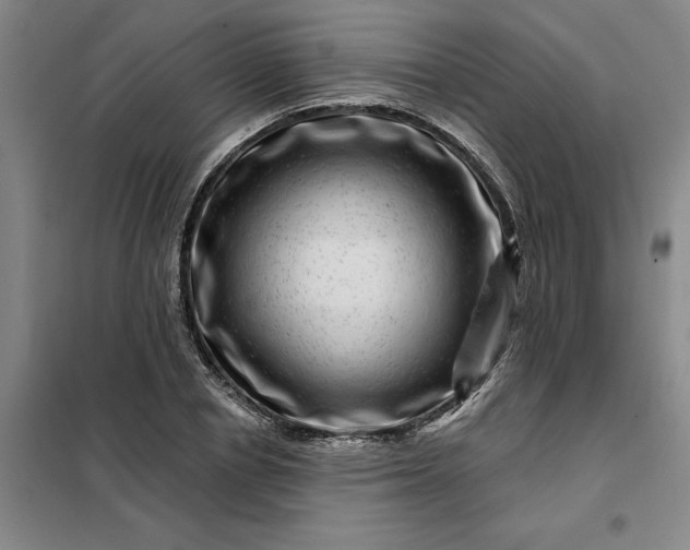 X0000098150834200805011405