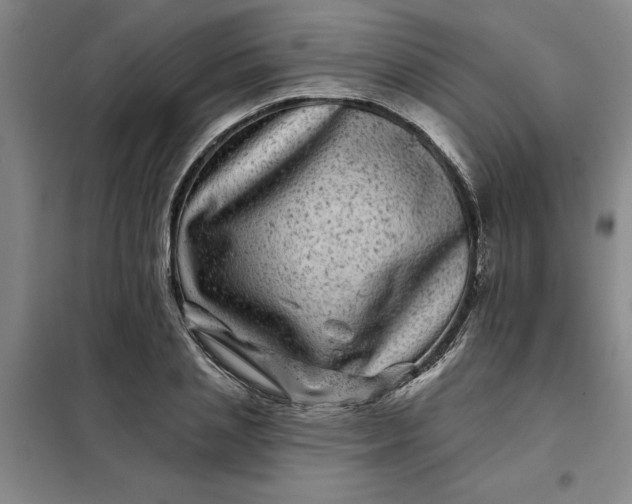X0000098150837200805011406