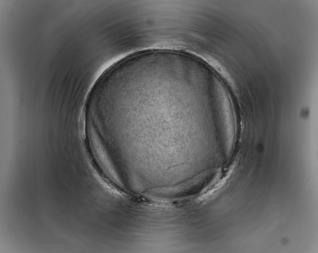 X0000098150838200805011406