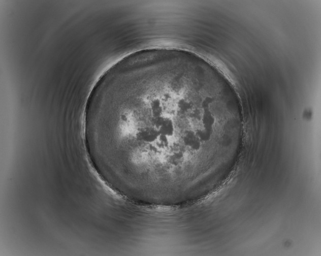 X0000098150839200805011406