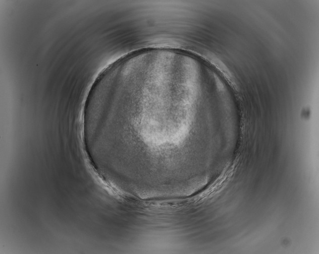 X0000098150840200805011406
