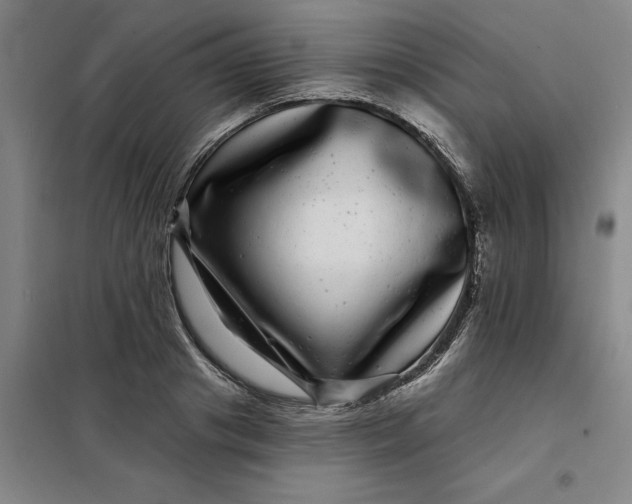 X0000098150841200805011406