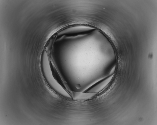 X0000098150842200805011406